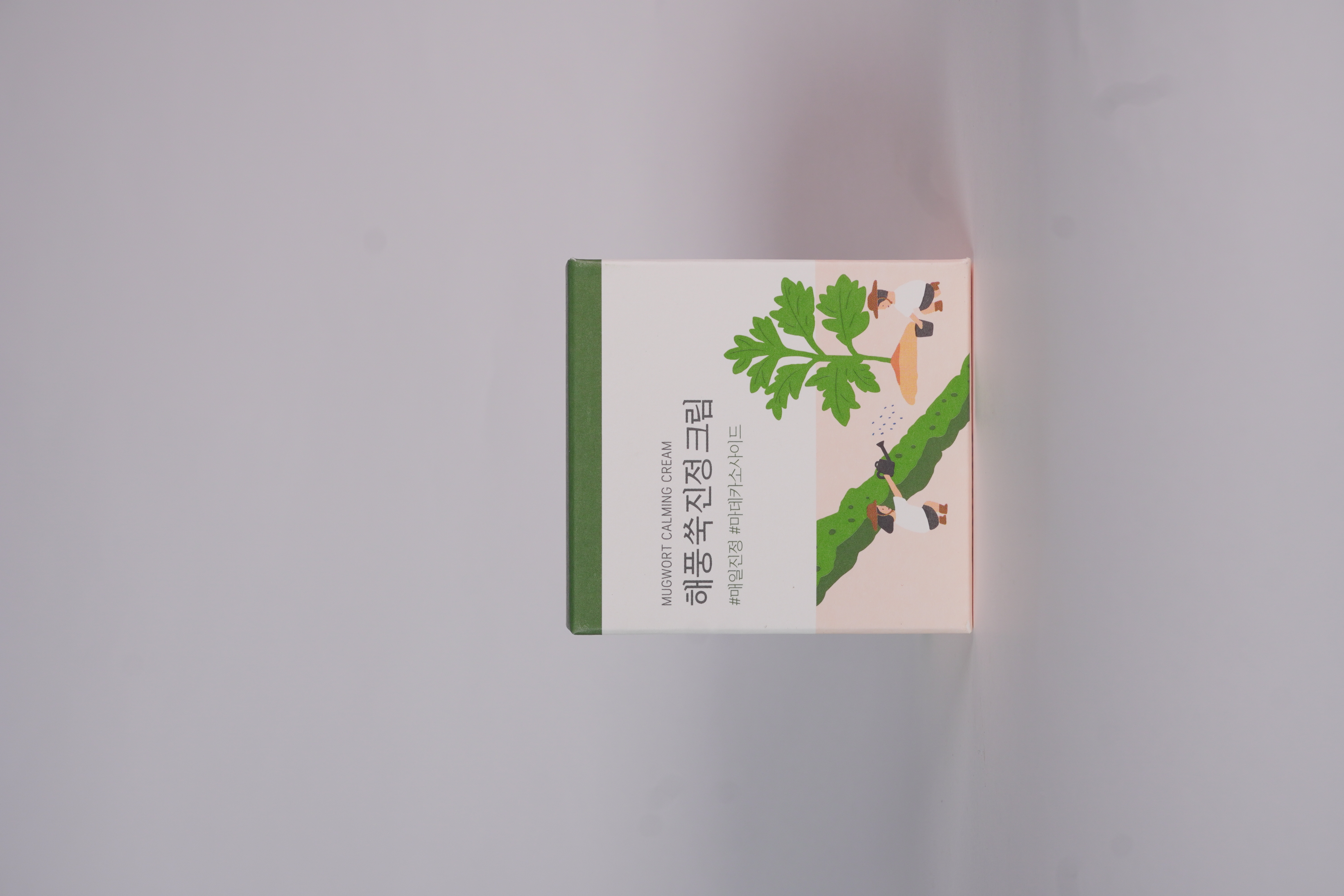 Round lab mugwort cream