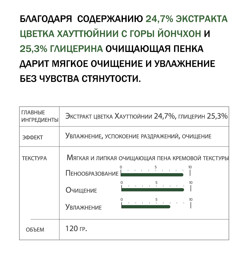 Derma Factory Houttuynia Cordata 24% Cleansing foam