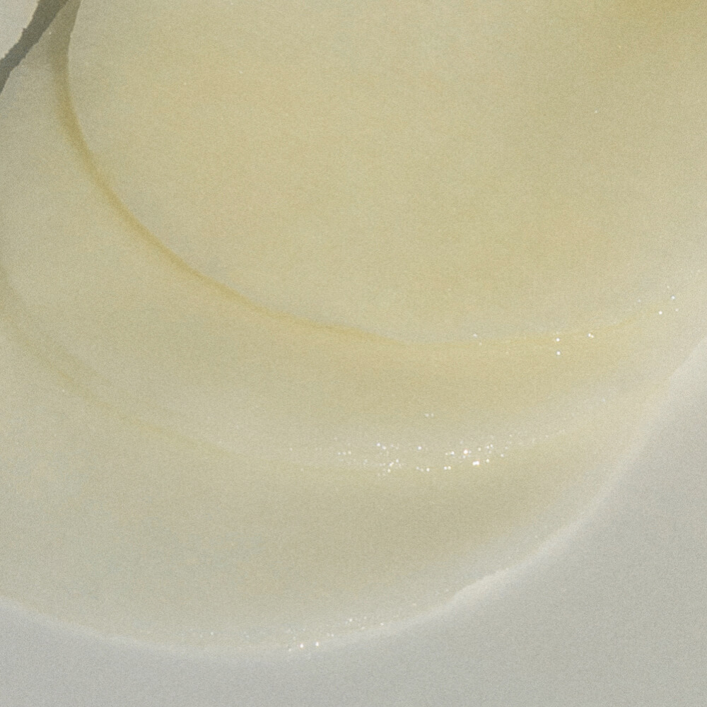 Abib Yuja Probiotics Blemish Pad